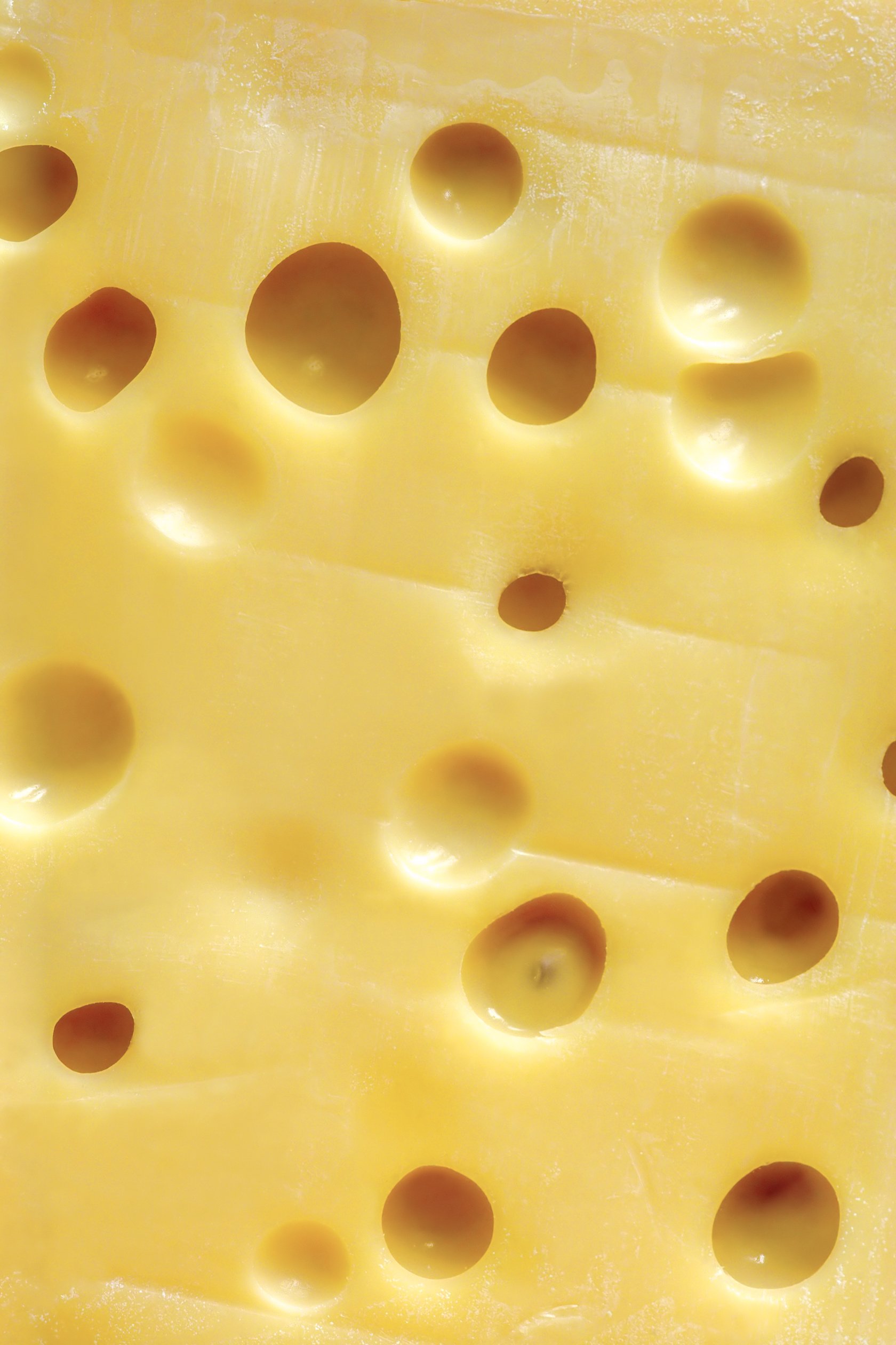 Swiss Cheese