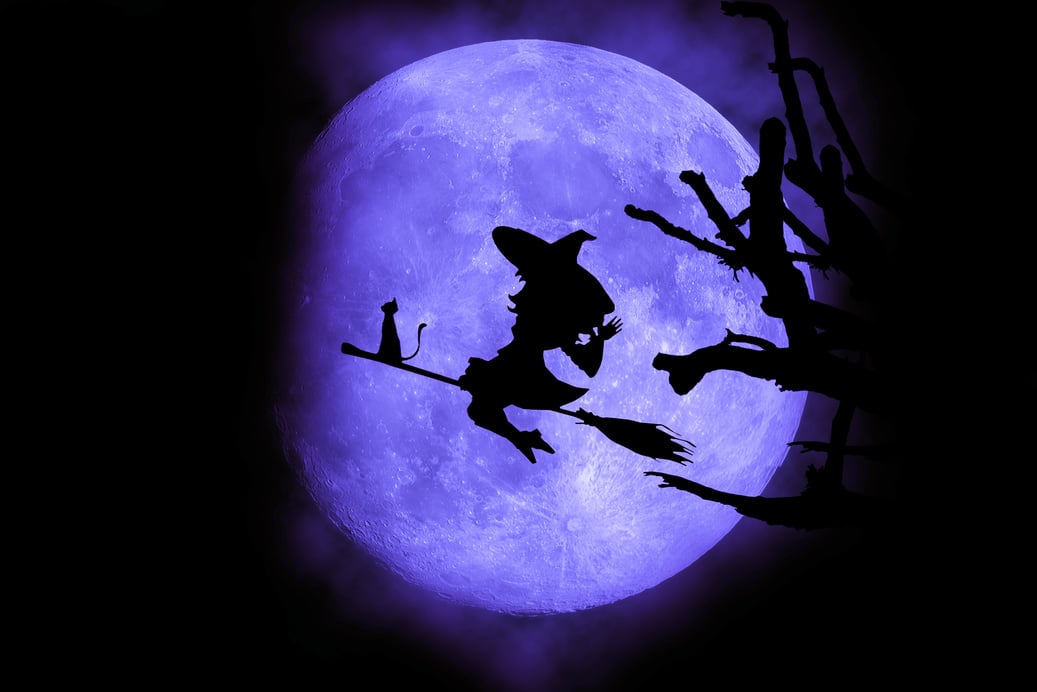 witch silhouette, Moon background,halloween